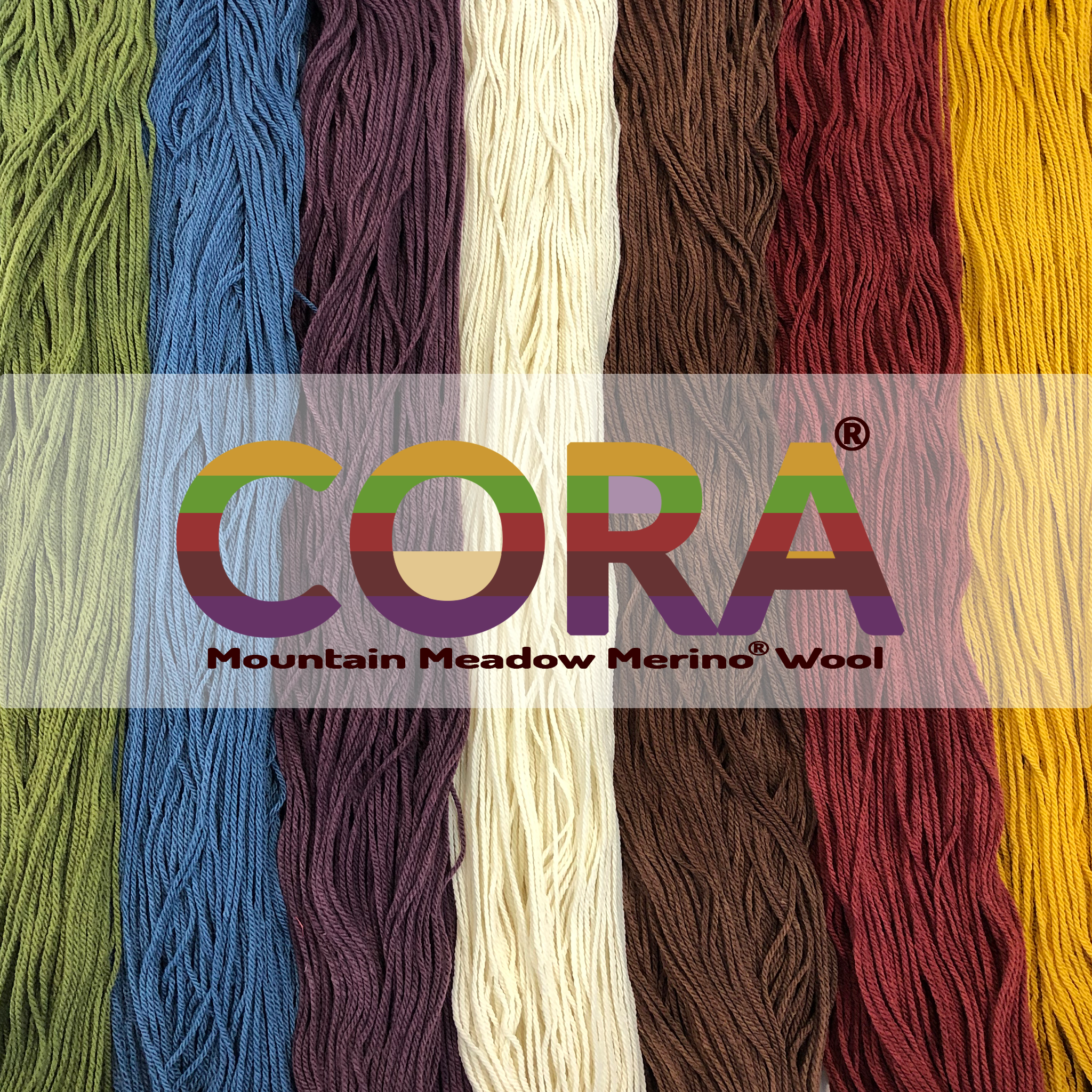 Worsted Weight Yarn - PRO Chemical & Dye