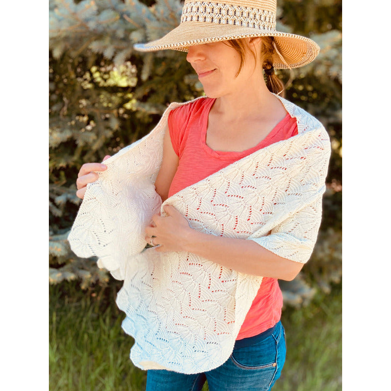 Sweetwater Wrap Knitting Kit – Mountain Meadow Wool