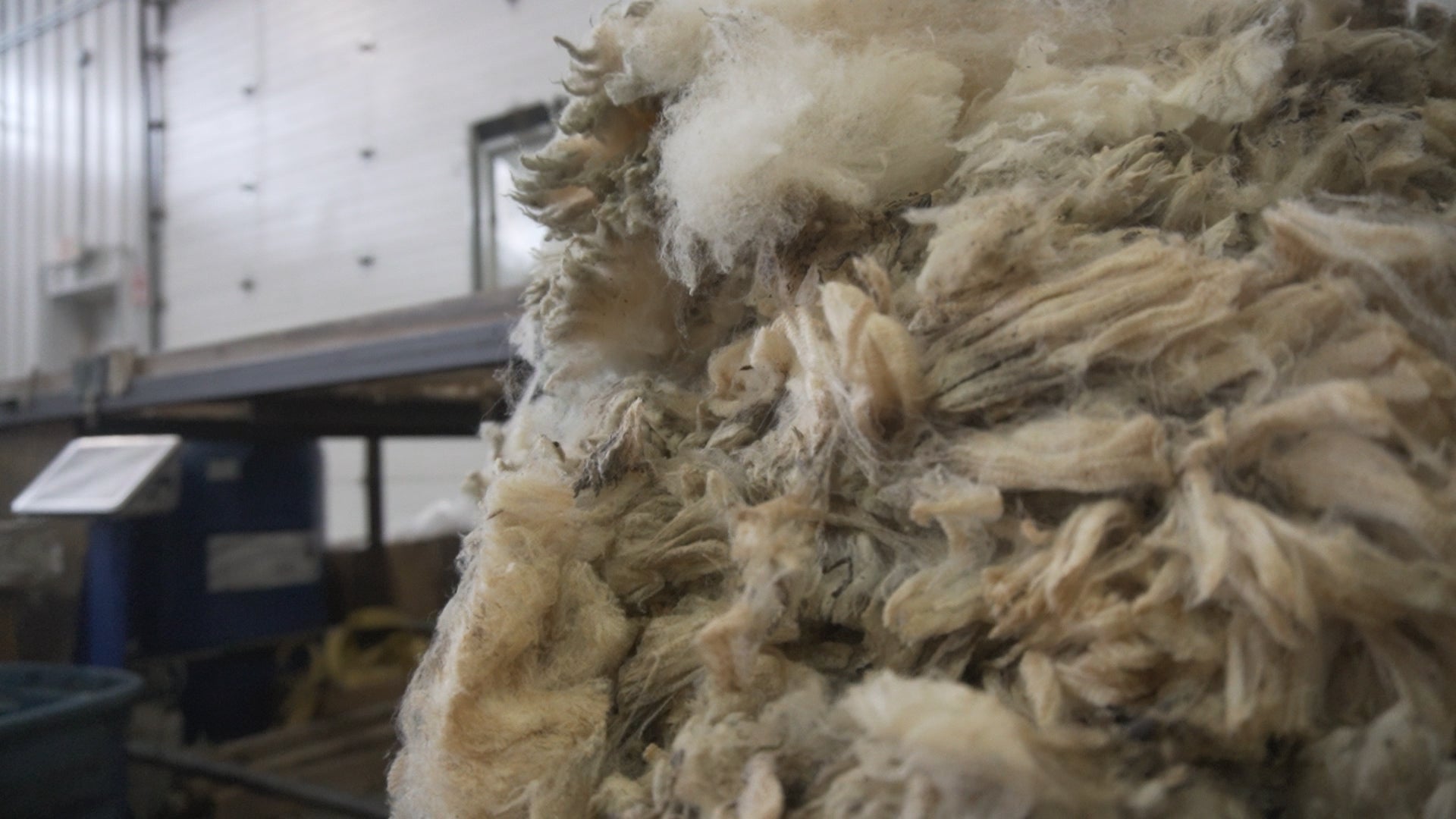 The Anatomy of Wool: Understanding Its Unique Properties