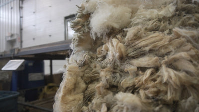 The Anatomy of Wool