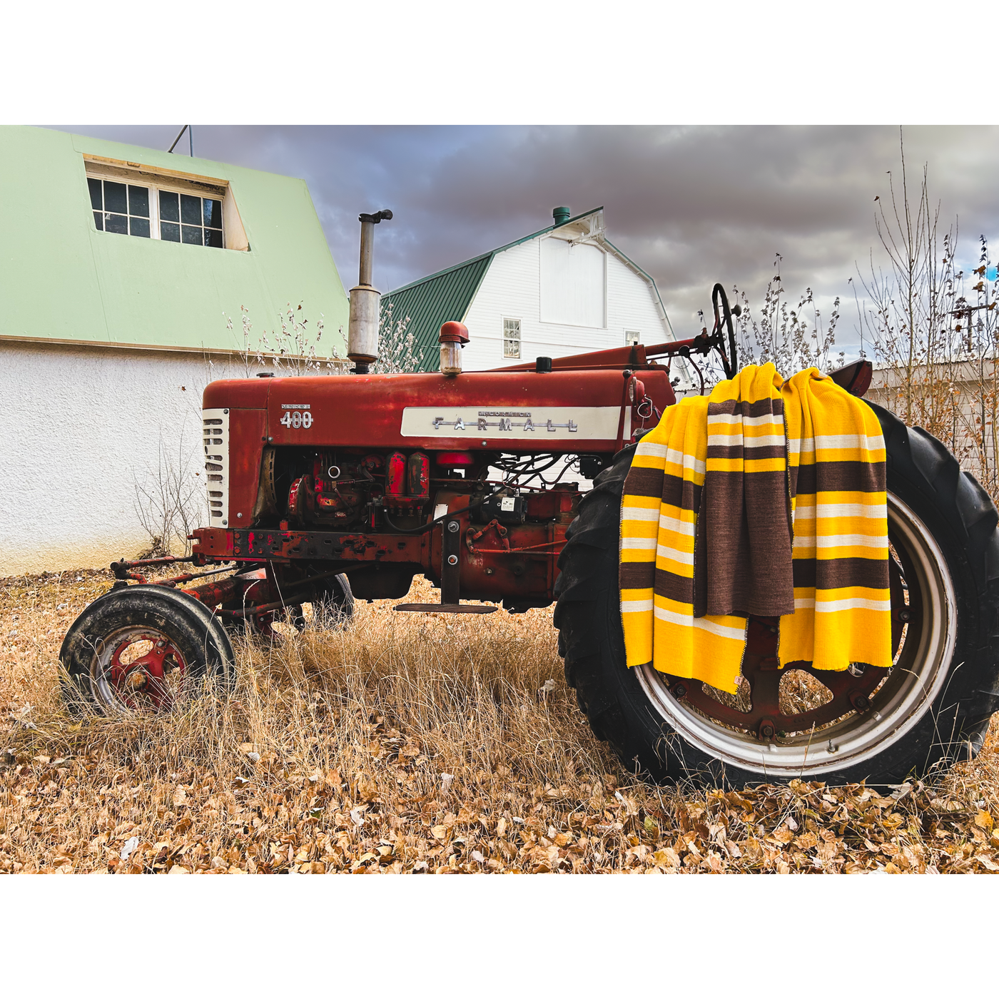 University of Wyoming High Plains Brown and Gold Wool Throw