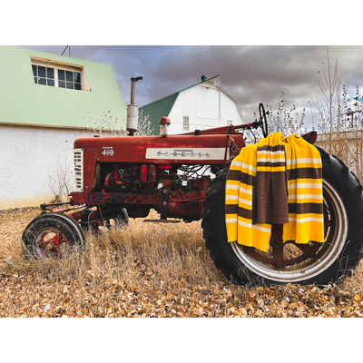 University of Wyoming High Plains Brown and Gold Wool Throw