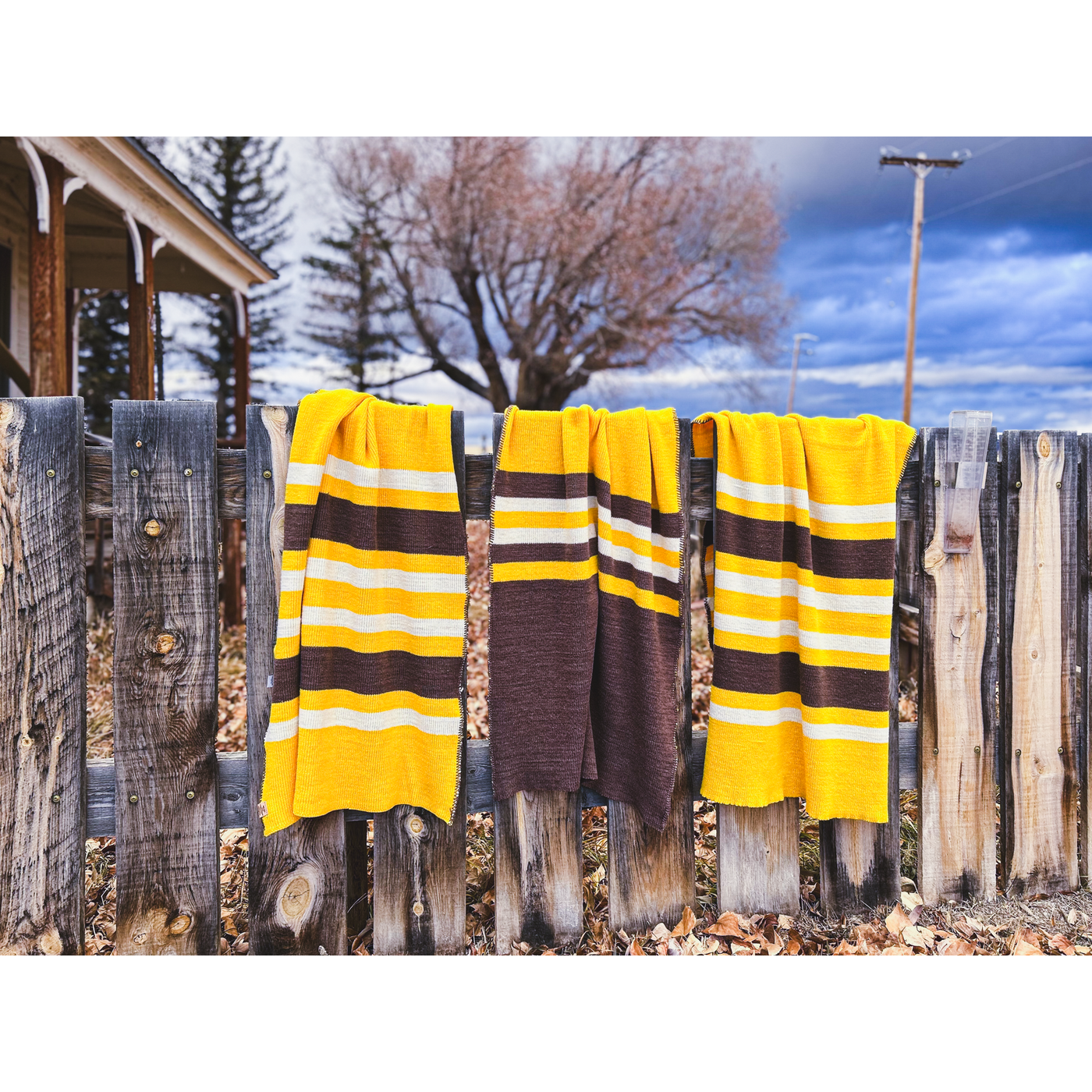 University of Wyoming High Plains Brown and Gold Wool Throw