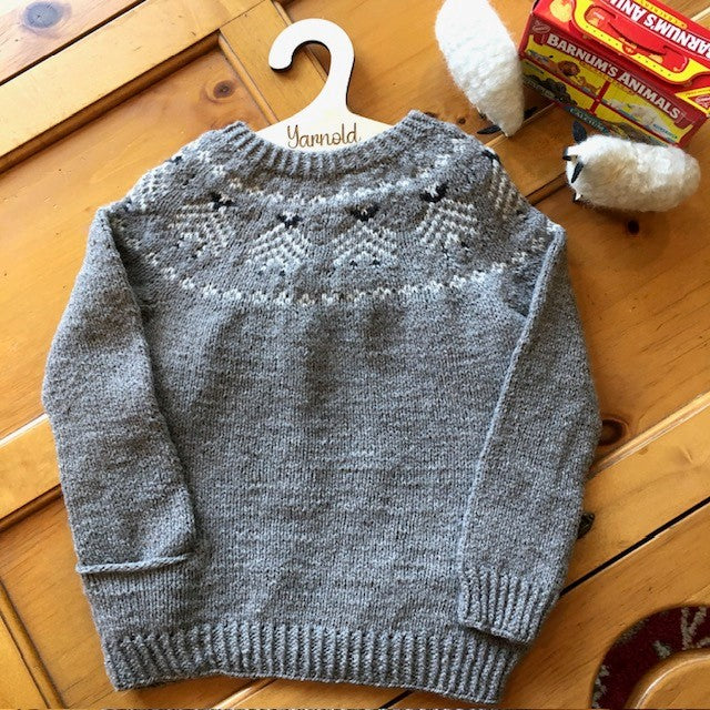 Yarnold in the Meadow children's sweater Knitting Bundle